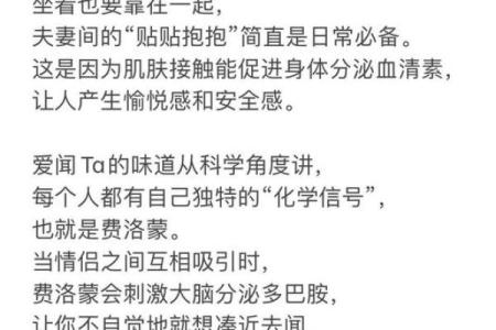 爱人如命：爱的极致表达与人生哲学探讨