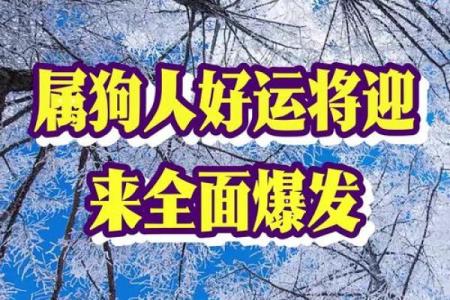 51岁属狗女性的命理解析：掌握人生的好运与挑战