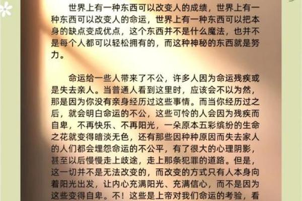 2009年牛年：坚韧与勤奋的象征，牛命人的命运之旅