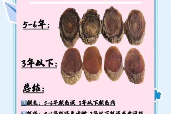 红参的神奇力量：揭开滋补养生的秘密之谜