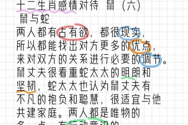 属鼠人的命理解读：探索96年生鼠的命运与个性特征