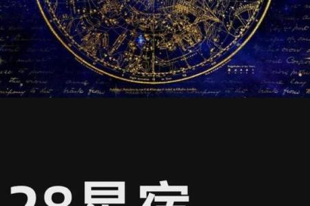 命理学基础：揭开宇宙与个体间神秘的联系和智慧