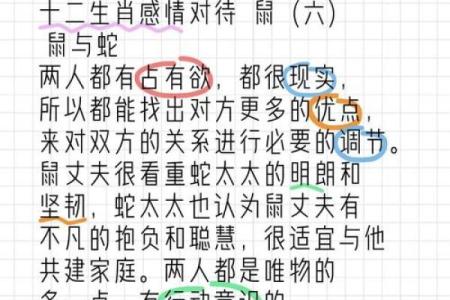 属鼠人的命理解读：探索96年生鼠的命运与个性特征