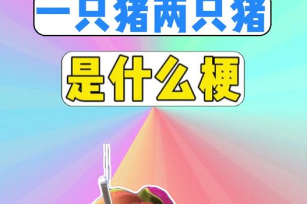 2019年猪宝宝命运解析：发现你的小宇宙，开启精彩人生之旅！