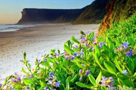 1942年属蛇人命运解析：聪慧与机缘的交织之旅