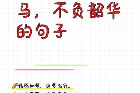 追求自我实现：你的梦想就是你的命运