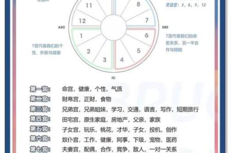 命盘中的星座美学：探索哪些星座视觉吸引力最强！