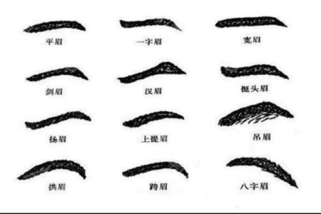 眉毛重的人是什么命？解密面相与命运的奥秘