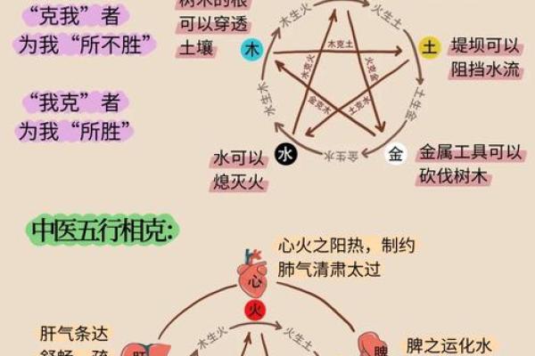 西四命与东四命:探秘八卦命理中的神秘力量 西四命与东四命:探秘八卦命理中的神秘力量