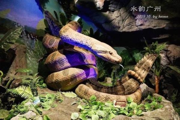 金蛇之命的颜色选择：探寻能量与运势的秘境