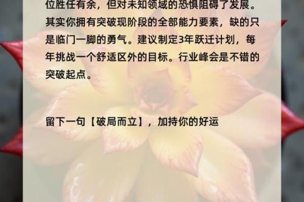姓名测试：你天生的命格揭示你的命运之路