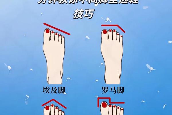 罗马脚：揭秘这一魅力足型背后的秘密与命运