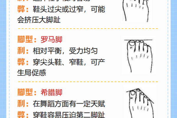 罗马脚：揭秘这一魅力足型背后的秘密与命运