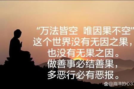 没有子女命的因果关系与人生的启示