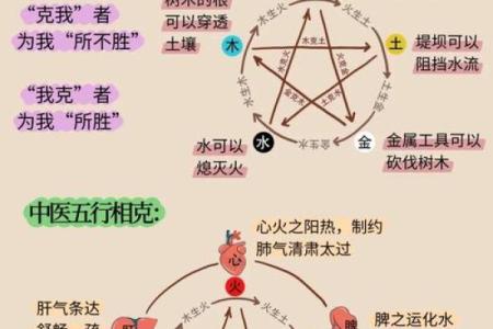 西四命与东四命：探秘八卦命理中的神秘力量