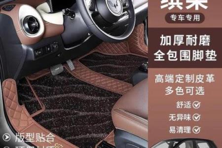 车与命相配：如何根据汽车选择合适的车脚垫