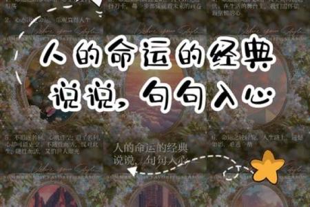 2018年虚岁29的命理解析：揭秘你的命运之路与人生选择