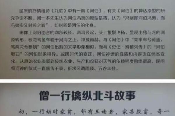 1995年猪年出生的人：他们的命运与生活指南