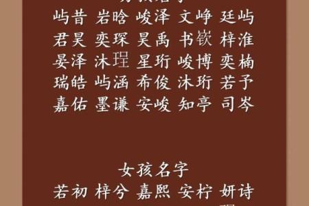 2022年虎宝宝命理解析：揭秘虎年新生儿的命运与特点