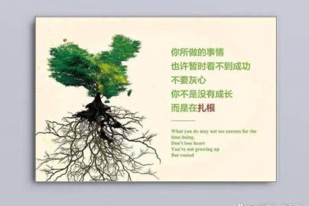 懂得珍惜贵人的命运，开启人生新篇章