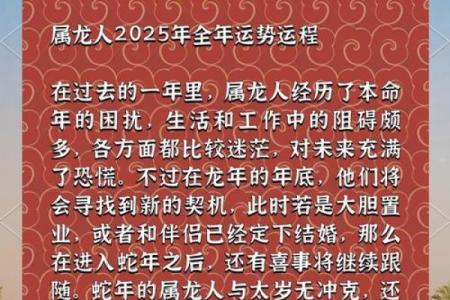 1949年龙年命理解读：探寻龙命的神秘特质与人生机遇