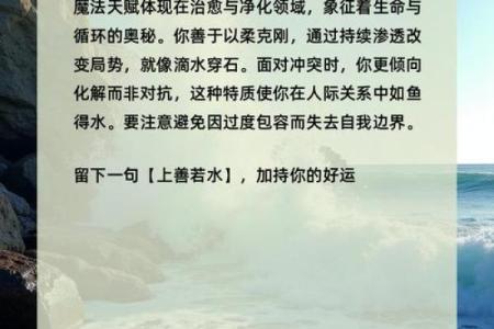 海中金命者的人生指南：注意力与运势提升的智慧