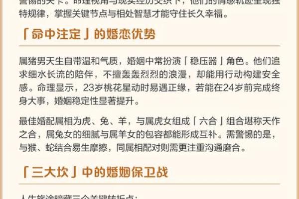 1995年出生的属猪人：命运与性格的深度解析