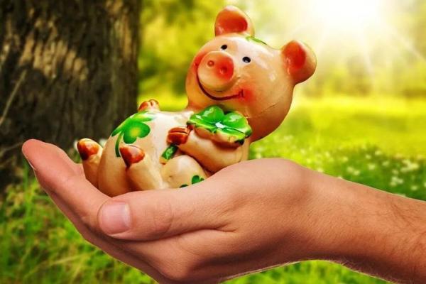 1995年属猪之人：命理解读与人生建议