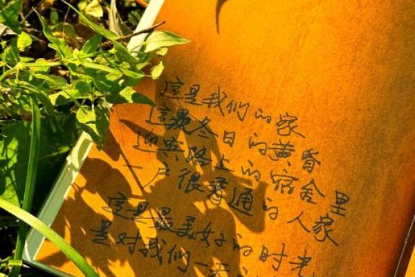 请物命：探寻物品背后的命运与意义