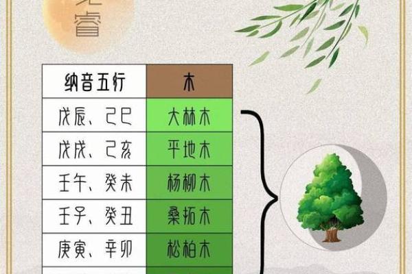 探秘大林木：适合哪些命理的完美搭配？