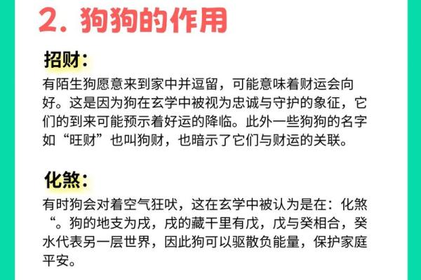 82年属狗人的命运与禁忌解析，助你把握人生机遇！