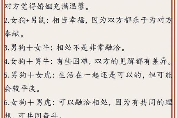 82年属狗人的命运与禁忌解析，助你把握人生机遇！