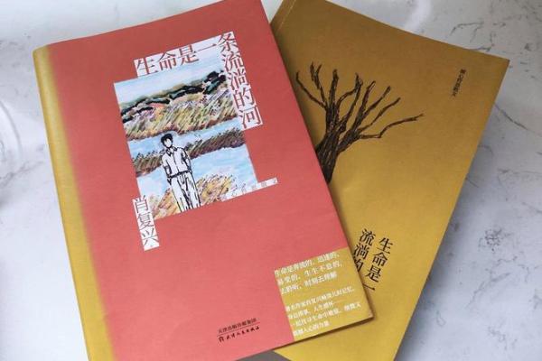 1953年出生人的命运解析：辉煌与挑战并存的生命轨迹