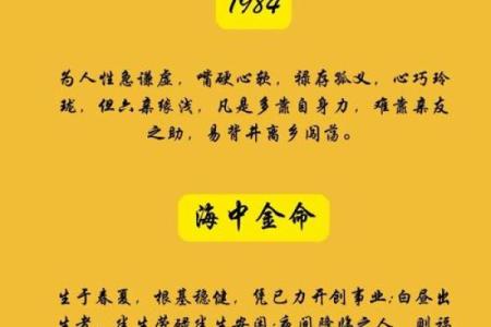 属鼠之命：2008年后的人生运势与发展探讨