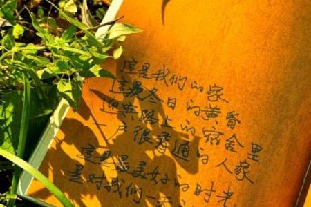 请物命：探寻物品背后的命运与意义