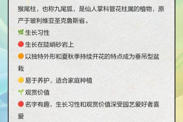 2016年火猴命佩戴物品及其助运指南