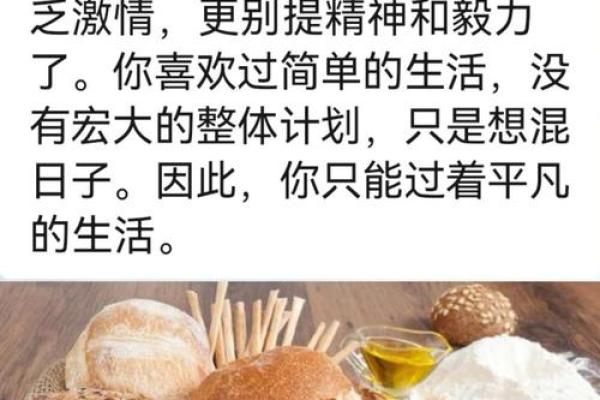 老鼠的命运：探寻1984年出生者的命理之路与生活启示