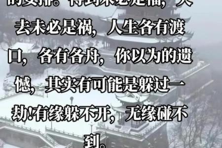 没有曹操的命，谁能主宰未来？探寻人生的选择与命运