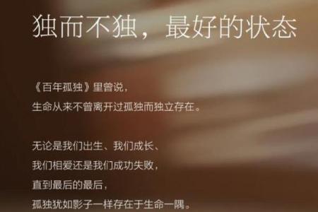 命里带孤者的命运与特点：探索孤独与独立的魅力