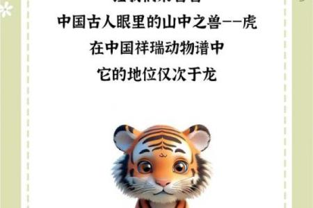 虎宝宝出生时辰的命运解析与人生启示