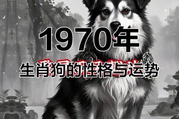 属狗之子女命：性格与运势解析，助你更懂孩子未来！