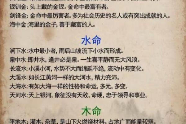 探寻海中金命：他们的命格与独特魅力