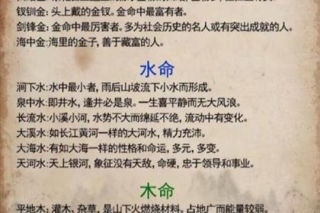 探寻海中金命：他们的命格与独特魅力