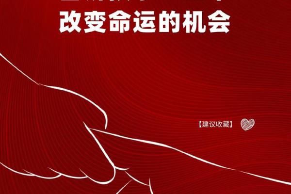 1963年出生的宝宝：探秘他们的命运与未来