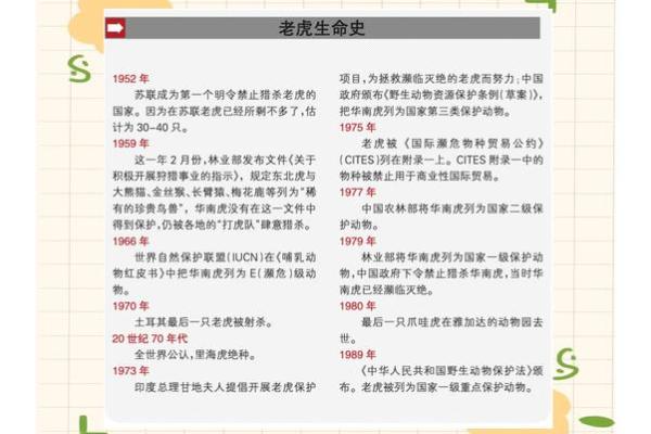 1986年属虎的命运分析与人生启示 1986年属虎的命运分析与人生启示