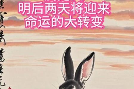 1987年属兔人的命运与性格解析：迎接人生的转机与挑战