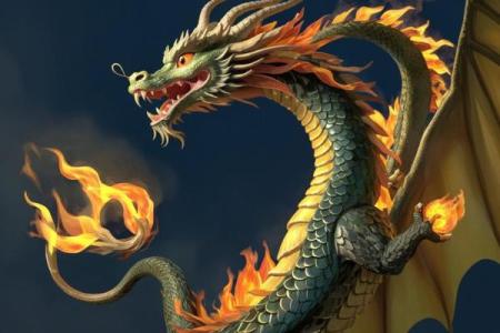 1995年属龙的人：命理解析与人生启示