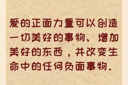 爱命：关于生命意义的深刻探索与思考