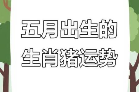 1978年属猪的人：命运解析与人生智慧分享
