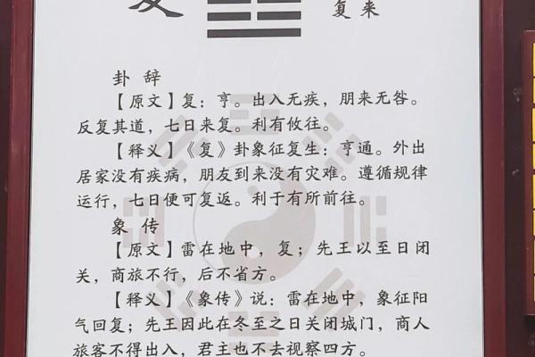 命卦与变卦的神秘世界：解读卦象背后的深层含义